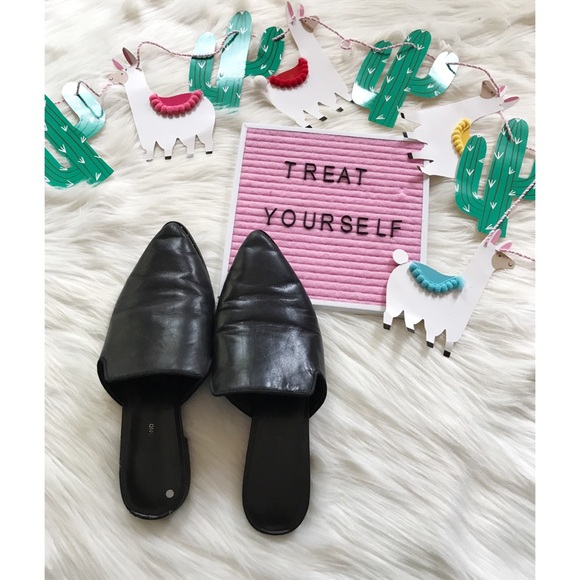 treasure and bond mules